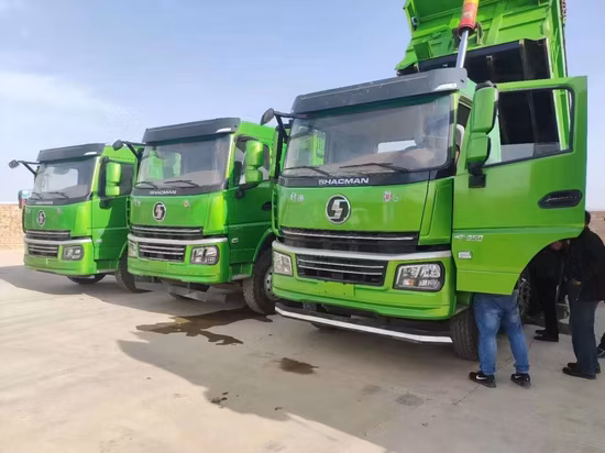 Autocarro con cassone ribaltabile Shacman /H3000/F3000/6X4/8X4/camion speciale