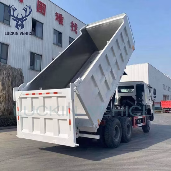 Camion resistente Shacman F2000/F3000/H3000/X3000 con condizionatore d'aria nella cabina del camion